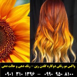 مو موقت تناژ زرد گلدن رین۶
