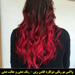 مو موقت و حالت دهنده گلدن رین رنگ شرابی