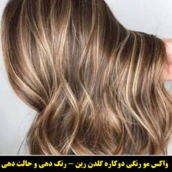مو رنگی حالت دهنده و درخشان کننده گلدن رین رنگ کرم۲