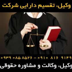 تقسیم دارایی شرکت