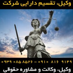 تقسیم دارایی شرکت